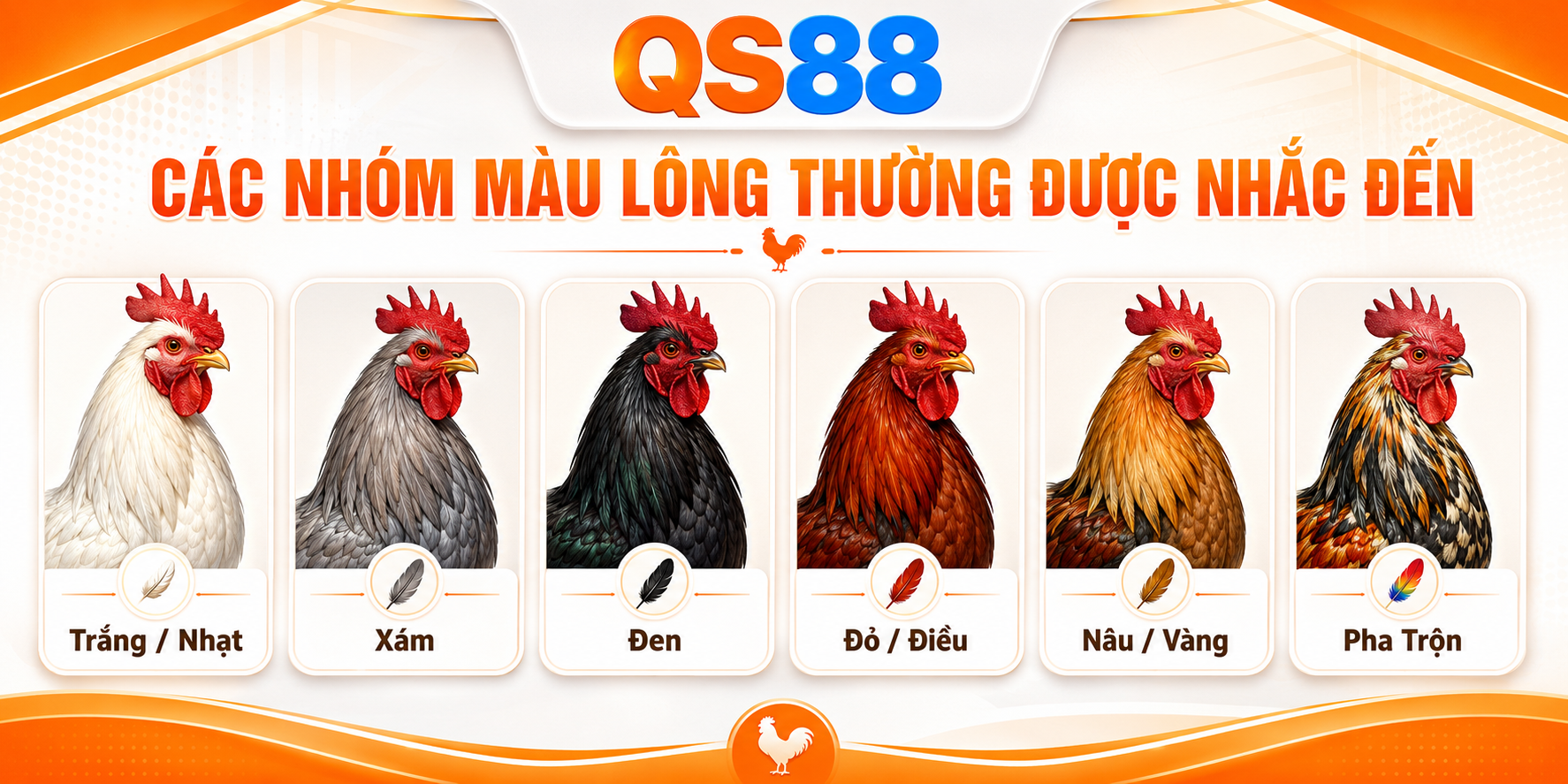 Các nhóm màu gà thường được nhắc đến