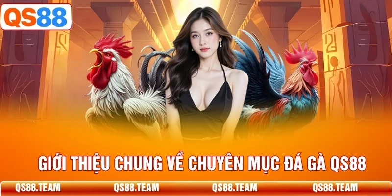 Tổng quan chuyên mục đá gà QS88, lịch trận, giao diện và kết quả